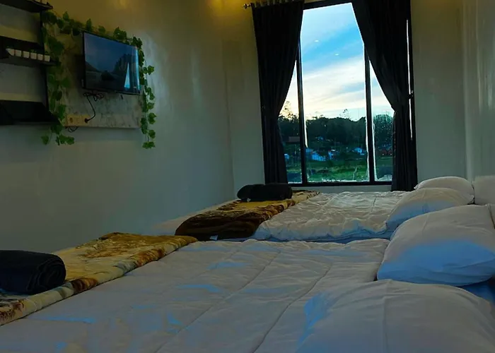 Sunflower Homestay Dieng